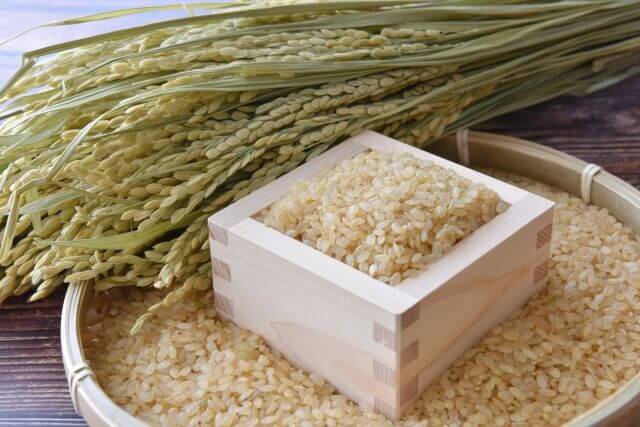 オートミールは白米・玄米と比較するとどう？